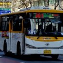 호계운수 이미지