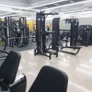 더 리얼 피티 이미지