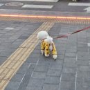 브리즈 pc 카페 | 봄 春 🌼