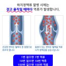 포이즌흉부외과의원 이미지
