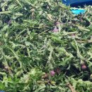 약산농장 이미지