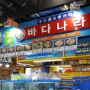 바다나라 이미지