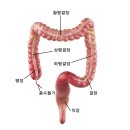 뉴트리파워
