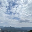 골든파인펜션 이미지