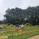 제주아이