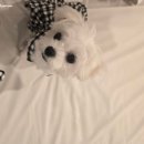 에이치에비뉴 인천주안점 이미지