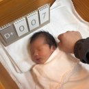 포항엘리시아산후조리원 이미지