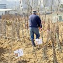 임실군산림조합 임산물판매센터 이미지