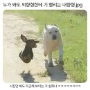 내향 이미지