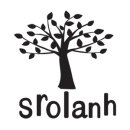 역사 (Srolanh History)