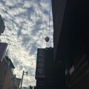 [광운대역 마라탕] 마라샹궈 후기가 없어서 직접 쓰는 ‘신연마라탕’ 마라샹궈 후기