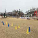 와스타디움 이미지