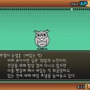 부엉이 눈썹