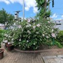 노촌경로당 이미지