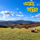 해인목장 | 평창 대관령 하늘목장 트랙터 마차로 즐기는 가을 강원도의 절경