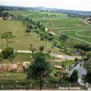 예당목장 이미지