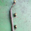 안면자동차공업사 이미지