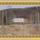옥산교 - 848 | 옥산교