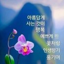 8월5일 금요일 오늘의 책속의 한마디 이미지