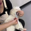 멍품유치원 이미지