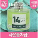 허브세차