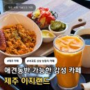 1496 | 제주 서귀포 이지카페 | 애견동반 가능한 신상 브런치카페 내돈내산 후기