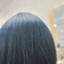 세븐일레븐남양주오남진주점 | 남양주 오남 현스헤어 블루 블랙 염색 고객님과 소중한 인연