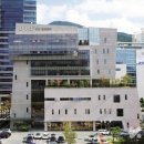 덴탈포스 이미지