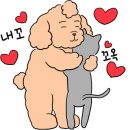 멍뭉식탁 이미지