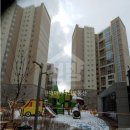 신월동210 이미지