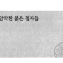 종횡무진으로 암약한 붉은 첩자들 (2)