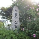 2024년 7월 13일(토) - 화성 서봉산 이미지