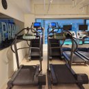 레디바디 이미지