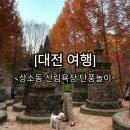 [대전여행]상소동 산림욕장 단풍명소 후기 절정 예상 시기 주차방법 애견동반 씨앗호떡 영업시간 위치...