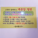 새금강밀면