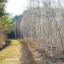 수목부동산공인중개사사무소 이미지