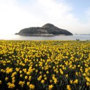 수선화 - 계양구 계산천동로 6 | 수선화