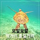 어묵버거어묵피자(주) | [모알보알] 이렇게 놀았어요 : 먹거리, 즐길 거리
