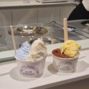 카페라미아 - 동구 대영로 265 | 광안리 젤라또 맛집 라 미아 에스타떼, 쫀득한 식감에 반한 이탈리아 감성 디저트 카페 후기