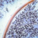 네바퀴타이어 이미지