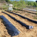 진흥농약사 이미지