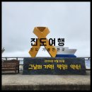 고군면 오일시장 | [진도여행1일차] 진도 가볼만한 곳: 조금오일시장-운림산방-세월호10주년팽목항-진도맛집 어영차만선...