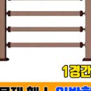 부산솔로몬로파크 이미지