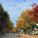 한국교원대학교 이미지