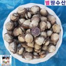 벌교꼬막수산 네이버블로그
