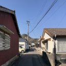 겨울 대마도 가볼만한곳 미우다해변 자전거 당일치기 여행지 푸드트럭 후기