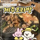 83 | 창원 중앙동 맛집 제주오라방 다녀온 후기, 고기맛집 추천!🥩
