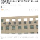 알몸으로 오토바이 헬멧만 쓴 채 대학가 활보 20대 배달기사 체포 이미지