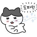 임실 농협 하나로마트 이미지