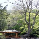 대흥여관 - 봉화군 의양로3길 26 | 대흥여관